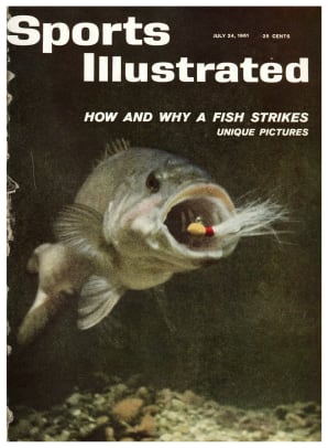 42018 - Cover Image